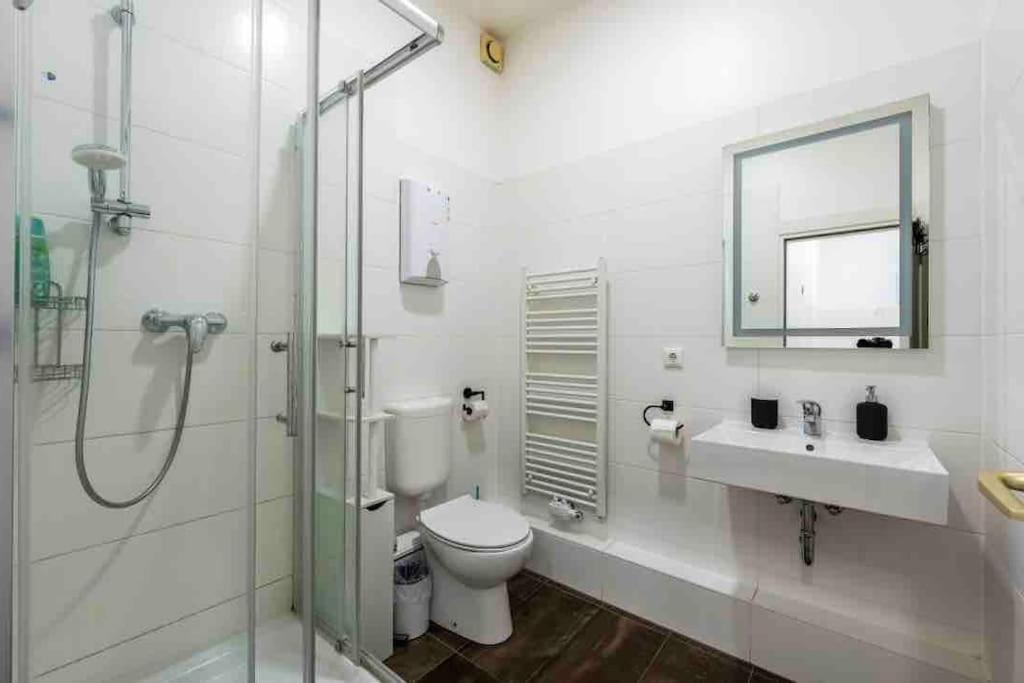 Big Fancy Apartments City Center 柏林 外观 照片
